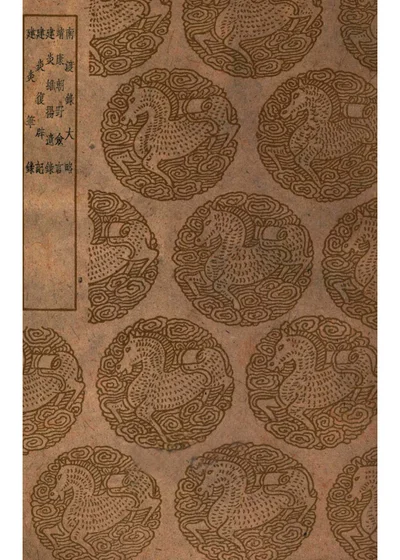 南渡录大略 封面