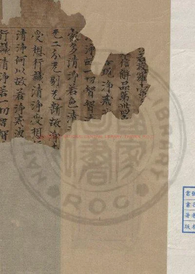 大般若波羅蜜多經存一卷 第 1 页