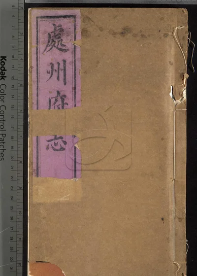处州府志三十卷 卷首一卷 卷末一卷 封面