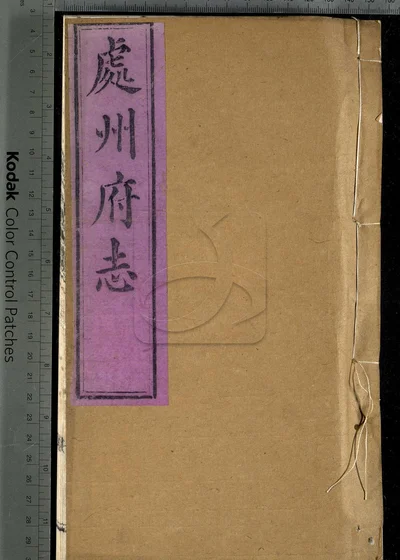 处州府志三十卷 卷首一卷 卷末一卷 封面