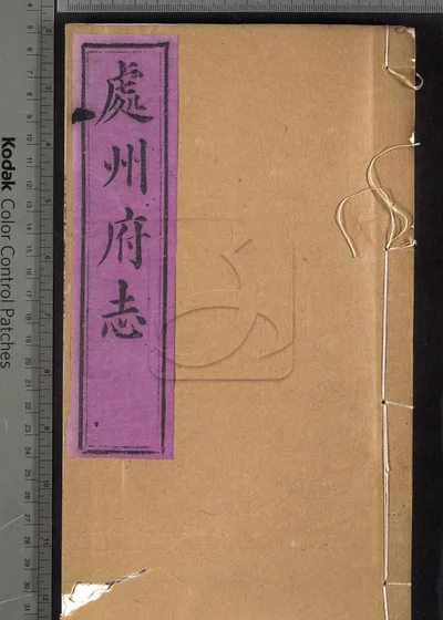 处州府志三十卷 卷首一卷 卷末一卷 封面