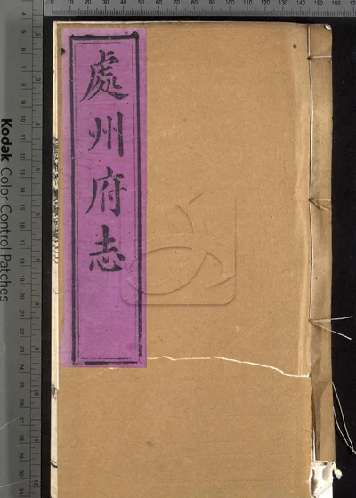 处州府志三十卷 卷首一卷 卷末一卷 封面