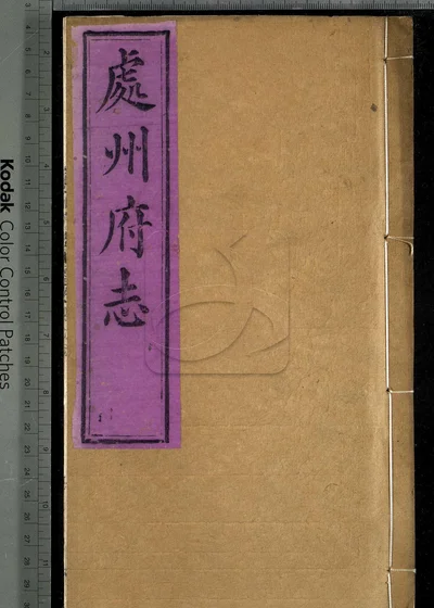 处州府志三十卷 首一卷 末一卷 封面