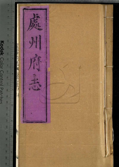 处州府志三十卷 卷首一卷 卷末一卷 封面