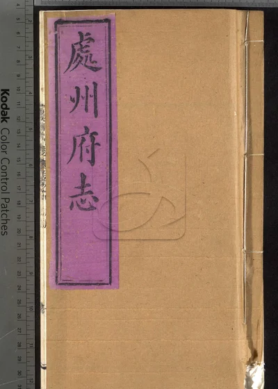 处州府志三十卷 卷首一卷 卷末一卷 封面