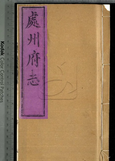 处州府志三十卷 卷首一卷 卷末一卷 封面