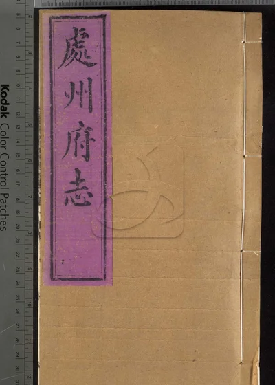 处州府志三十卷 卷首一卷 卷末一卷 封面