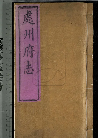 处州府志三十卷 首一卷 末一卷 封面