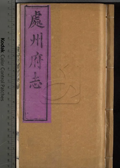 处州府志三十卷 首一卷 末一卷 封面