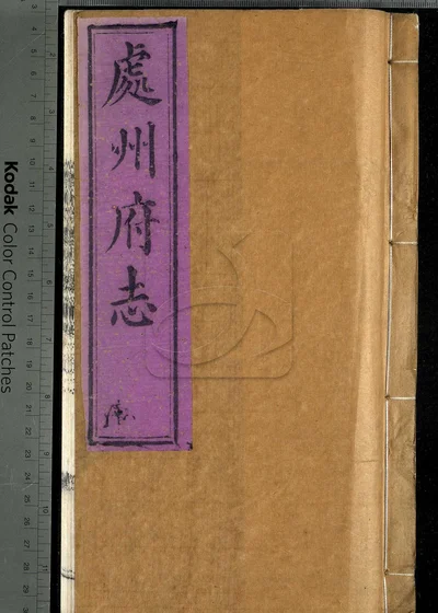 处州府志三十卷 卷首一卷 卷末一卷 封面