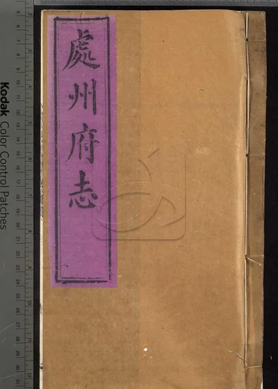 处州府志三十卷 首一卷 末一卷 封面