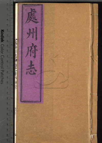 处州府志三十卷 首一卷 末一卷 封面