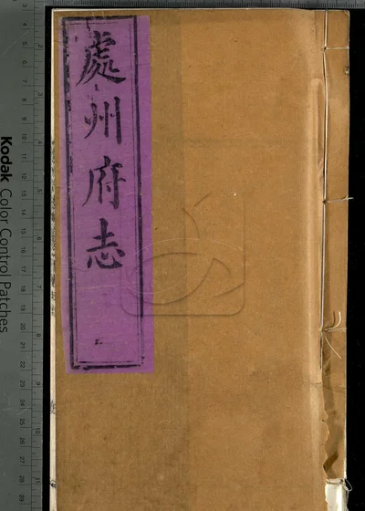 处州府志三十卷 卷首一卷 卷末一卷 封面