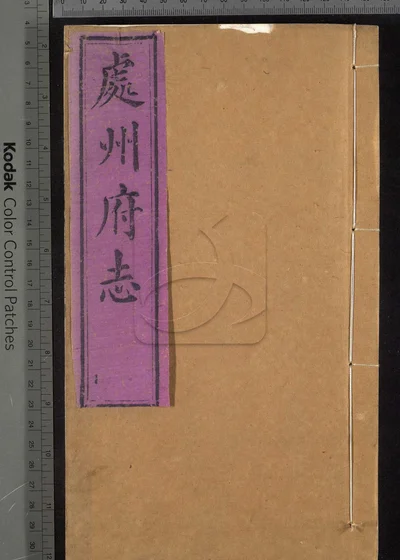 处州府志三十卷 卷首一卷 卷末一卷 封面
