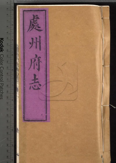处州府志三十卷 卷首一卷 卷末一卷 封面