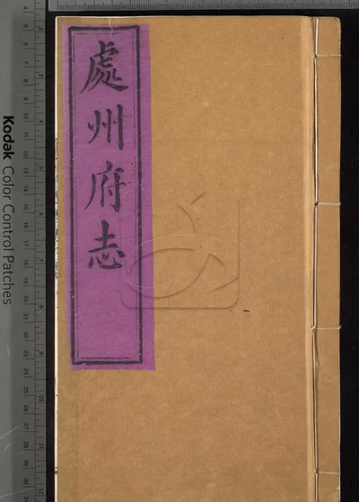 处州府志三十卷 卷首一卷 卷末一卷 封面