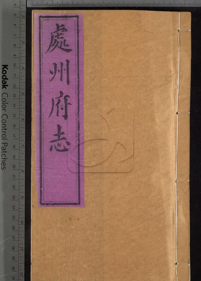 处州府志三十卷 卷首一卷 卷末一卷 封面