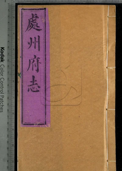 处州府志三十卷 卷首一卷 卷末一卷 封面