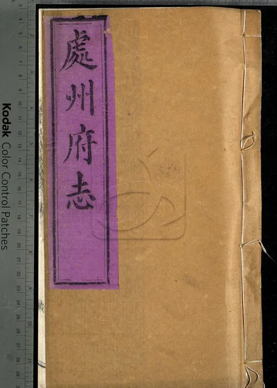 处州府志三十卷 卷首一卷 卷末一卷 封面