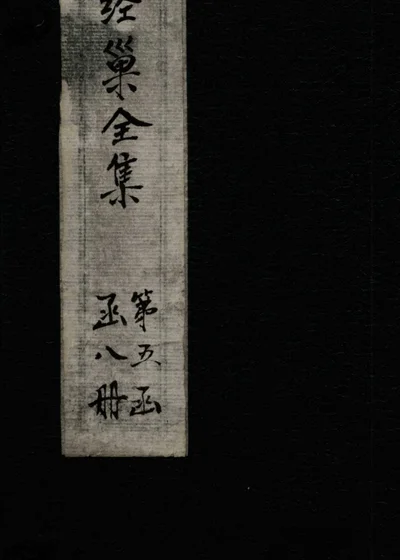 巢经巢全集 播雅 卷一至三 第 1 页