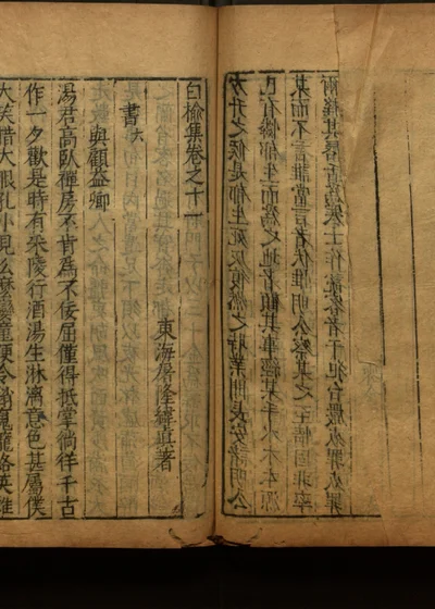 白榆集诗八卷文二十卷 第二十一册 封面