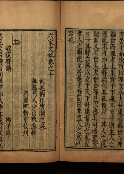 六家文略十二卷 附六家始末一卷 卷十 封面