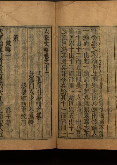六家文略十二卷 附六家始末一卷 卷十一 封面