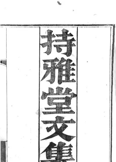 持雅堂文集 封面
