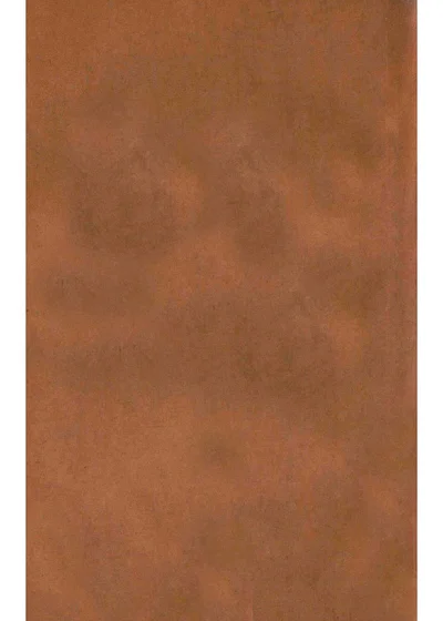 圣型 封面