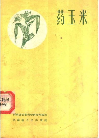 药玉米 第 1 页