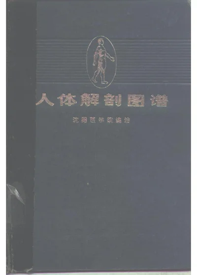 人体解剖图谱 第 1 页