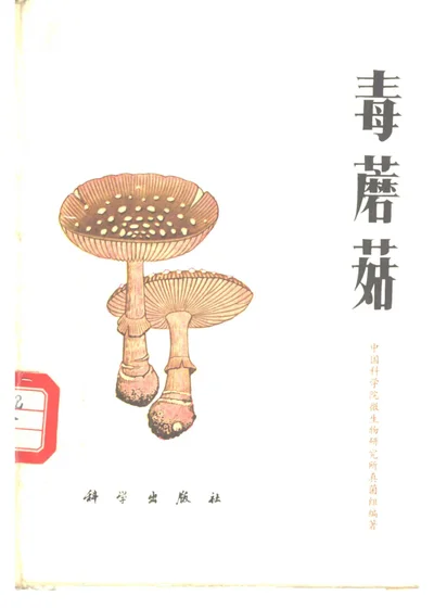 毒蘑菇 封面