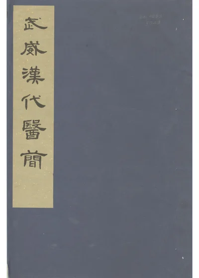 武威汉代医简 封面